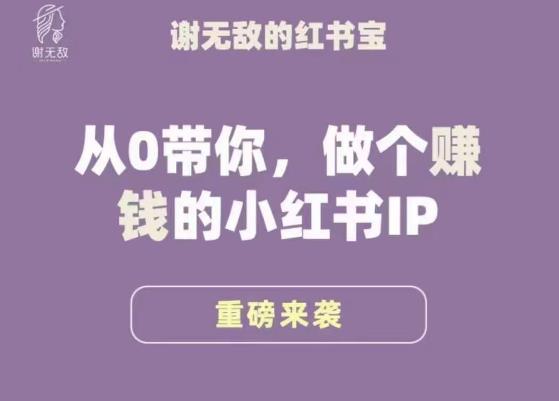 谢无敌·小红书运营大宝典，从0带你做个赚钱的小红书IP-成长印记