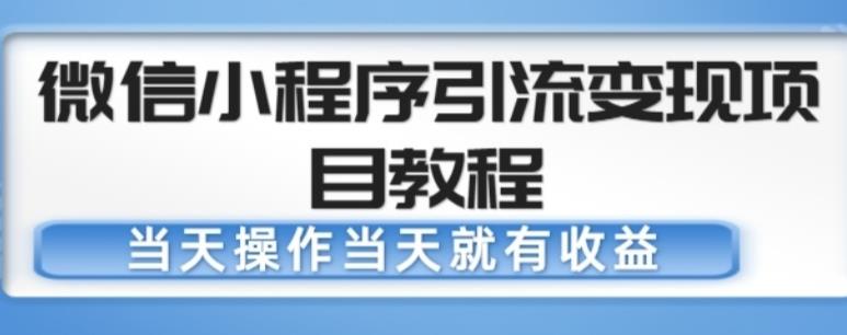 微信小程序引流变现项目教程，当天操作当天就有收益，变现不再是难事-成长印记