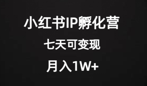 价值2000+的小红书IP孵化营项目，超级大蓝海，七天即可开始变现，稳定月入1W+-成长印记