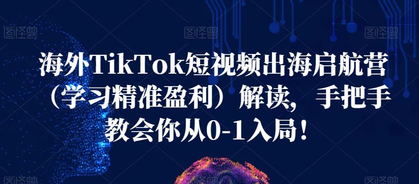 海外TikTok短视频出海启航营（学习精准盈利）解读，手把手教会你从0-1入局！-成长印记