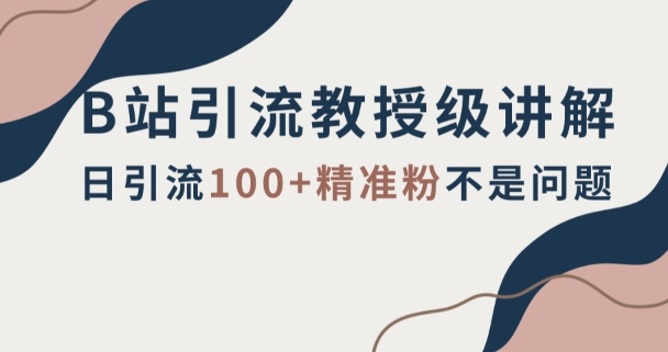 B站引流教授级讲解，细节满满，日引流100+精准粉不是问题【揭秘】-成长印记