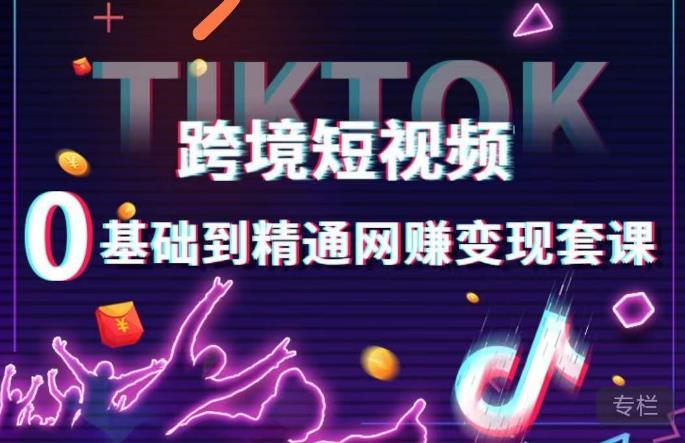 跨境短视频TIKTOK 0基础到精通网赚变现套课，跨境短视频独立站带货变现技巧-成长印记