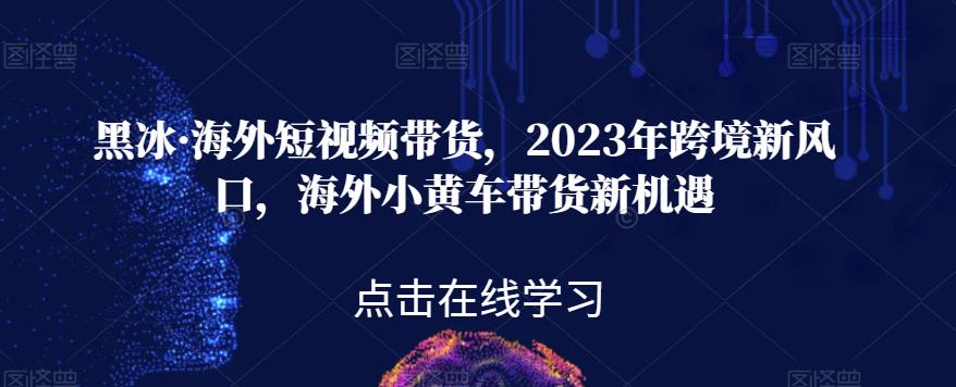 黑冰·海外短视频带货，2023年跨境新风口，海外小黄车带货新机遇-成长印记