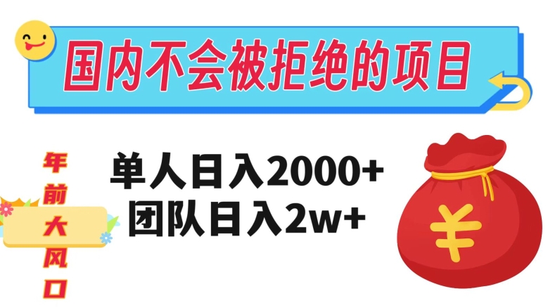 在国内不怕被拒绝的项目，单人日入2000，团队日入20000+【揭秘】-成长印记