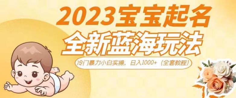 2023宝宝起名全新蓝海玩法，冷门暴力小白实操，日入1000+（全套教程）【揭秘】-成长印记