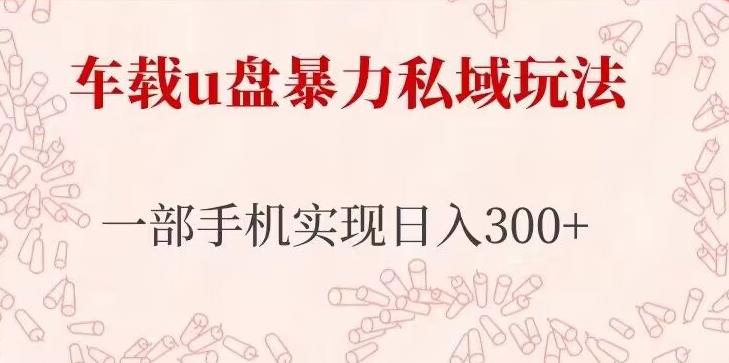 车载u盘暴力私域玩法，长期项目，仅需一部手机实现日入300+-成长印记