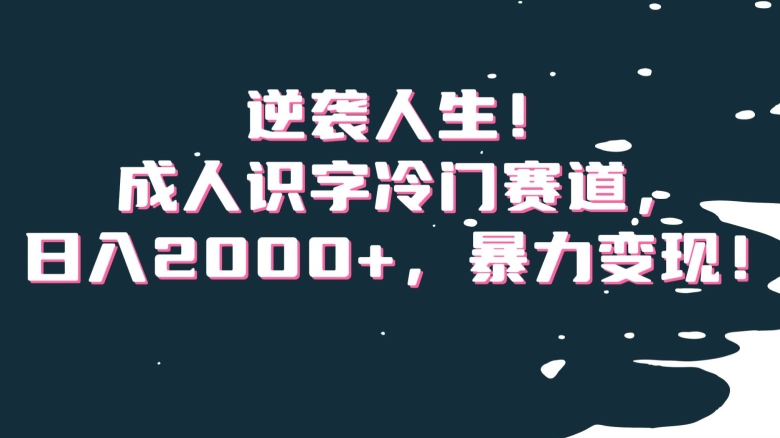 逆袭人生！成人识字冷门赛道，日入2000+，暴力变现！【揭秘】-成长印记