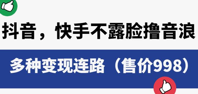 抖音快手不露脸撸音浪项目，多种变现连路（售价998）-成长印记