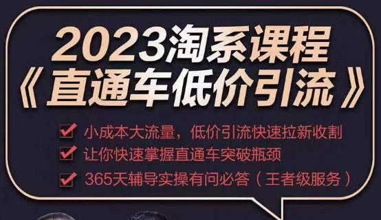 2023直通车低价引流玩法课程，小成本大流量，低价引流快速拉新收割，让你快速掌握直通车突破瓶颈-成长印记