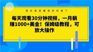 每天观看30分钟视频，一月躺赚1000+美金！保姆级教程，可放大操作【揭秘】-成长印记