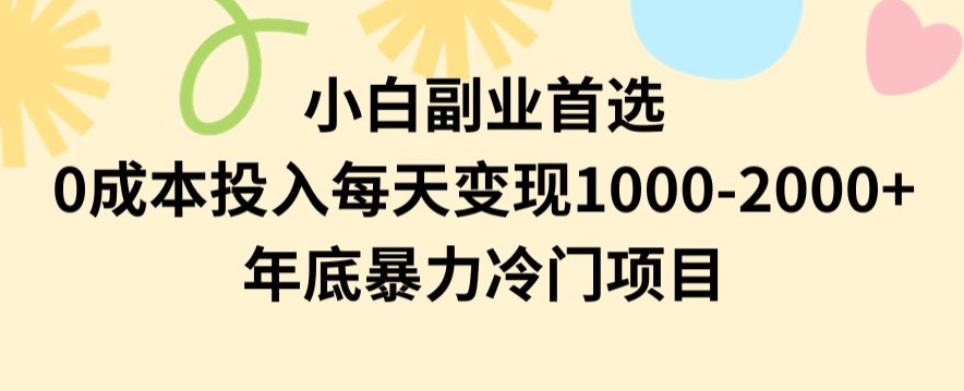 小白副业首选，0成本投入，每天变现1000-2000年底暴力冷门项目【揭秘】-成长印记