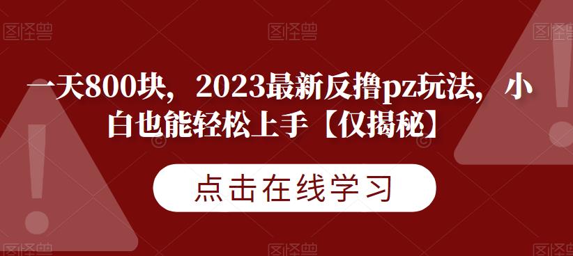 一天800块，2023最新反撸pz玩法，小白也能轻松上手【仅揭秘】-成长印记