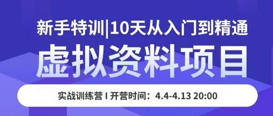 虚拟资料项目新手特训，10天从入门到精通，保姆级实操教学-成长印记