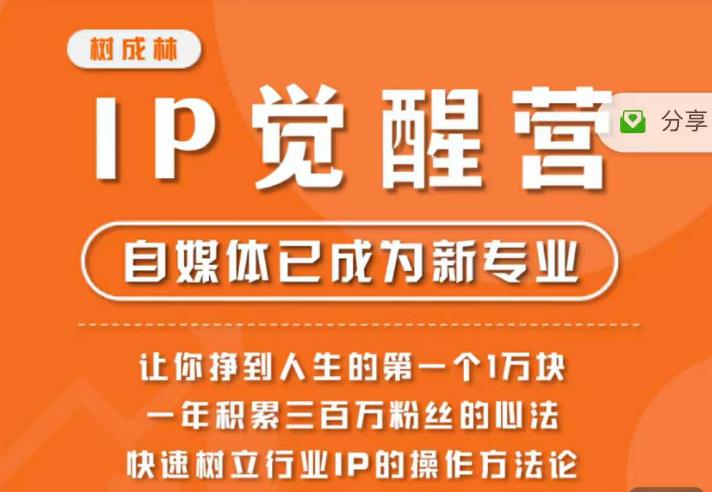 树成林·IP觉醒营，快速树立行业IP的操作方法论，让你赚到人生的第一个1万块（更新）-成长印记