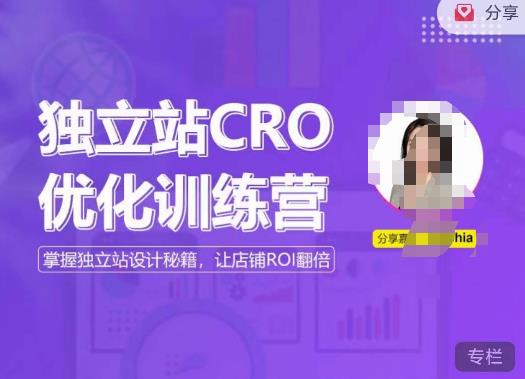 独立站CRO优化训练营，掌握独立站设计秘籍，打造高转化的独立站，让店铺ROI翻倍-成长印记