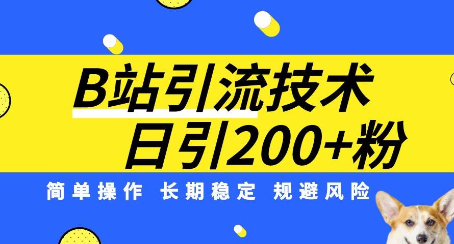 B站引流技术：每天引流200精准粉，简单操作，长期稳定，规避风险-成长印记