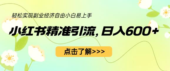 小红书精准引流，小白日入600+，轻松实现副业经济自由（教程+1153G资源）-成长印记