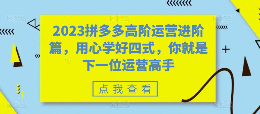 2023拼多多高阶运营进阶篇，用心学好四式，你就是下一位运营高手-成长印记