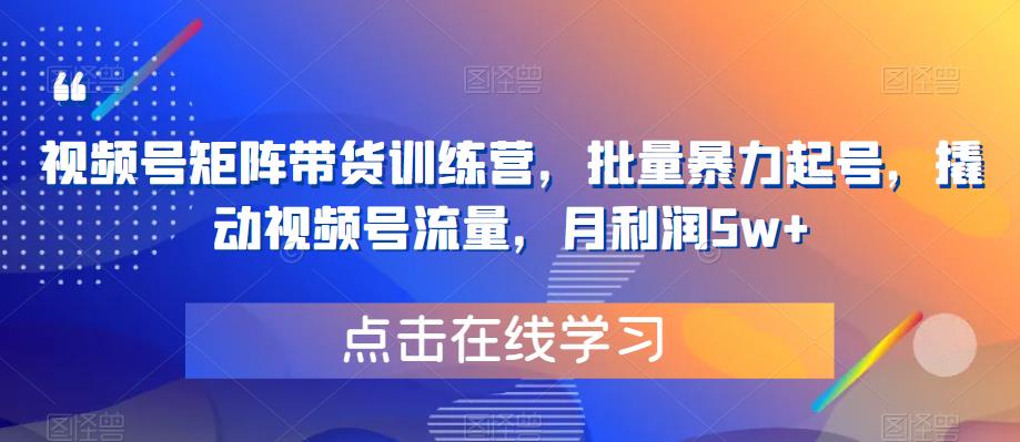 视频号矩阵带货训练营，批量暴力起号，撬动视频号流量，月利润5w+-成长印记