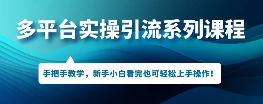 多平台引流实操系列课程，新手小白看完也可轻松上手进行引流操作-成长印记