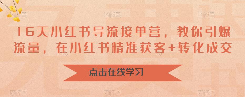 16天小红书导流接单营，教你引爆流量，在小红书精准获客+转化成交-成长印记