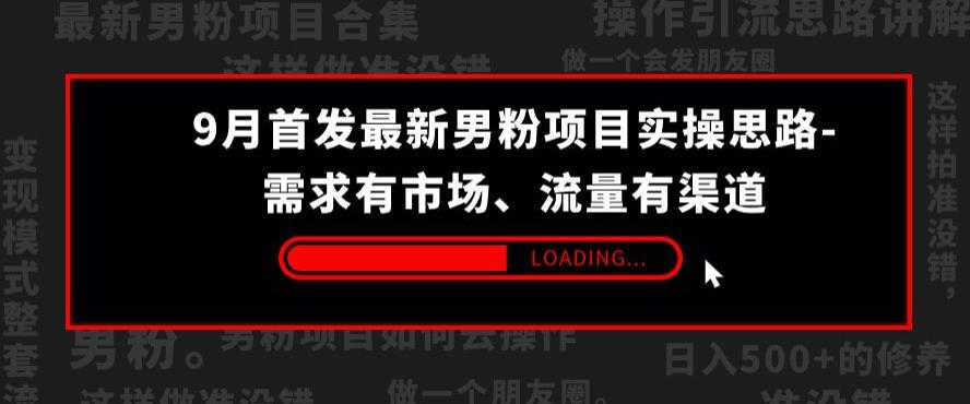 9月首发最新男粉项目实操思路-需求有市场，流量有渠道【揭秘】-成长印记