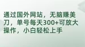 通过国外网站，无脑赚美刀，单号每天300+可放大操作，小白轻松上手【揭秘】-成长印记