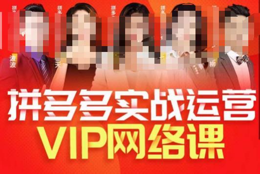 推易拼多多VIP全套直播课程，拼多多店铺实操玩法+实战玩法选款内功+直通车高阶等-成长印记