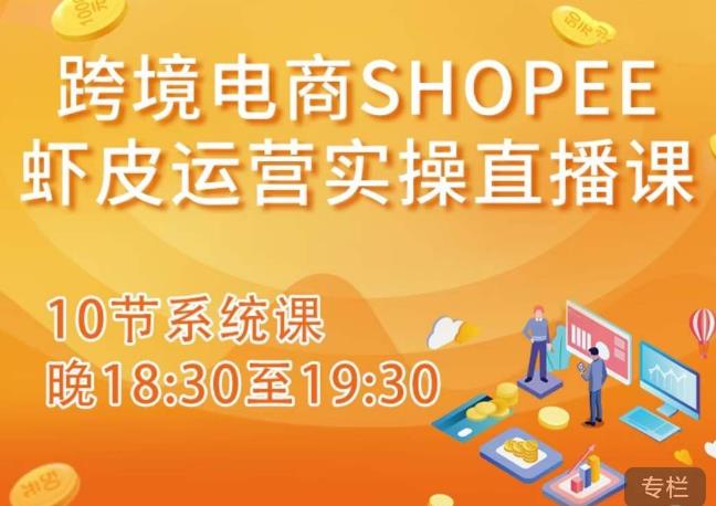 跨境电商Shopee虾皮运营实操直播课，从零开始学，入门到精通（10节系统课）-成长印记