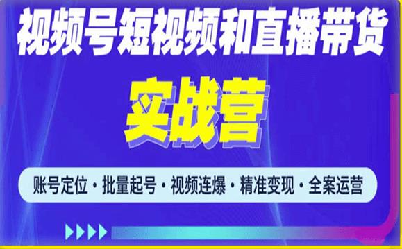 2023最新微信视频号引流和变现全套运营实战课程，小白也能玩转视频号短视频和直播运营-成长印记