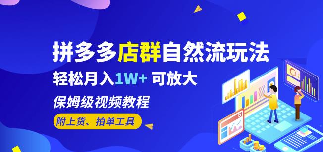 拼多多店群自然流玩法，轻松月入1W+保姆级视频教程（附上货、拍单工具）-成长印记