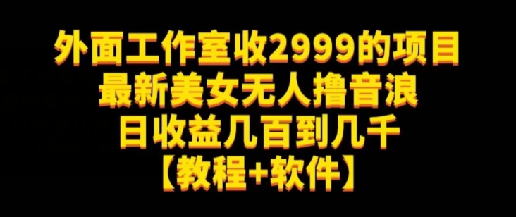 外面工作室收2999的项目最新美女无人撸音浪日收益几百到几千【教程+软件】（仅揭秘）-成长印记