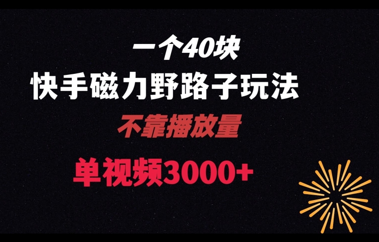 一个40块，快手联合美团磁力新玩法，无视机制野路子玩法，单视频收益4位数【揭秘】-成长印记