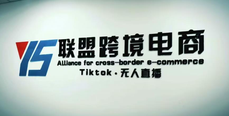 YS联盟·Tiktok无人直播，不出镜不剪辑不拍摄不发货无售后的跨境短视频躺赚玩法-成长印记