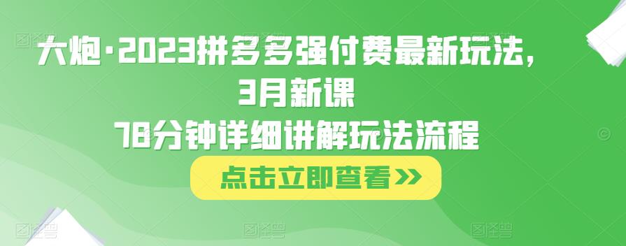 大炮·2023拼多多强付费最新玩法，3月新课​78分钟详细讲解玩法流程-成长印记