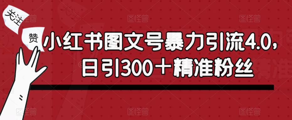 小红书图文号暴力引流4.0，日引300＋精准粉丝【揭秘】-成长印记