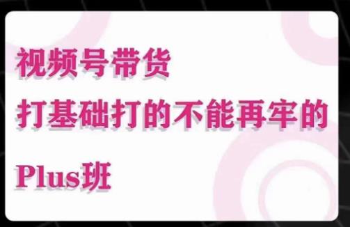 大播汇·视频号带货Puls班，视频号底层逻辑，起号自然流鱼塘等玩法-成长印记