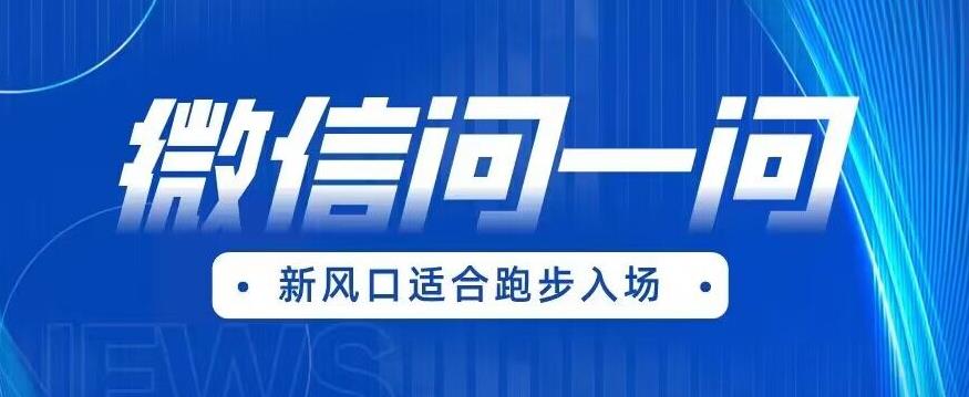 全网首发微信问一问新风口变现项目（价值1999元）【揭秘】-成长印记