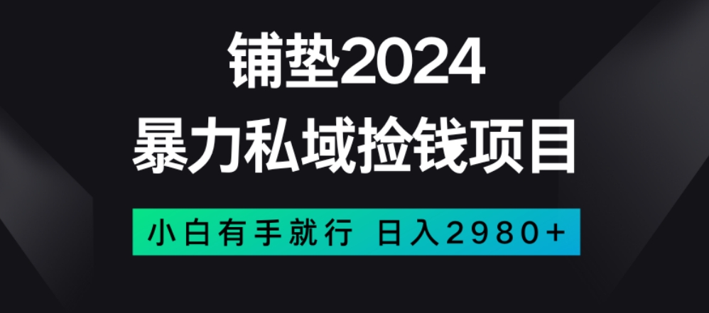 暴力私域捡钱项目，小白无脑操作，日入2980【揭秘】-成长印记