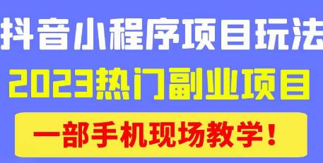 抖音小程序9.0新技巧，2023热门副业项目，动动手指轻松变现-成长印记