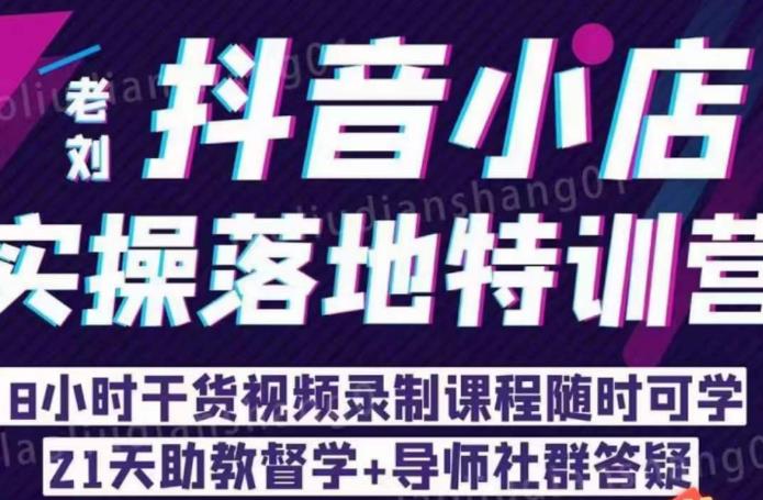 老刘·抖店商品卡流量，​抖音小店实操落地特训营，8小时干货视频录制课程随时可学-成长印记