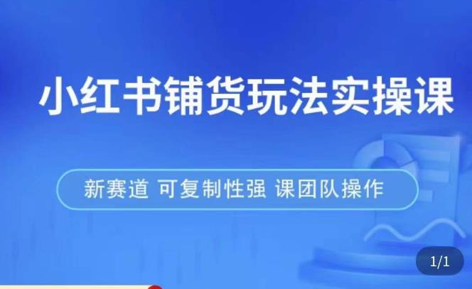 小红书铺货玩法实操课，流量大，竞争小，非常好做，新赛道，可复制性强，可团队操作-成长印记