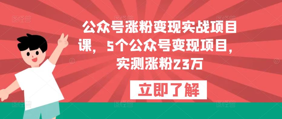 公众号涨粉变现实战项目课，5个公众号变现项目，实测涨粉23万-成长印记