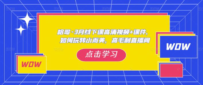 哈哥·3月线下实操课高清视频+课件，如何玩转小而美，高毛利直播间-成长印记