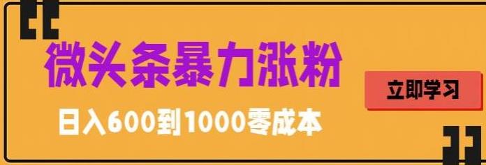 微头条暴力涨粉技巧搬运文案就能涨几万粉丝，简单0成本，日赚600【揭秘】-成长印记