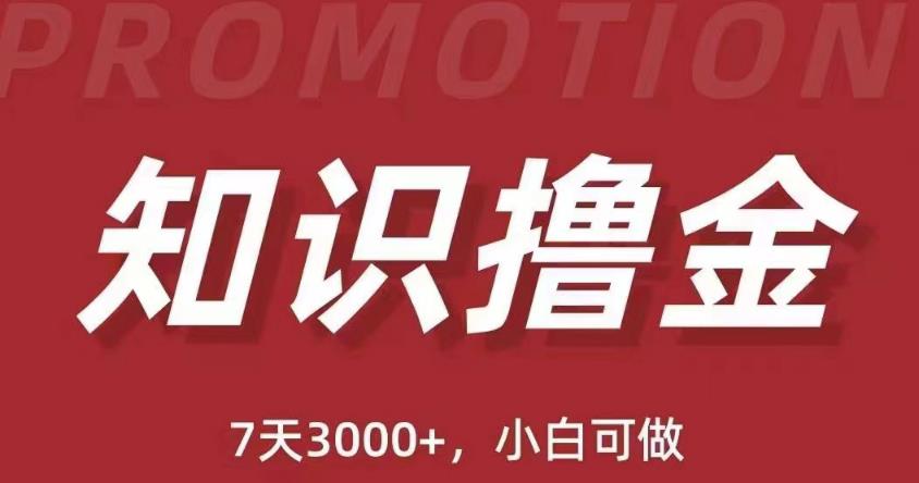 抖音知识撸金项目：简单粗暴日入1000+执行力强当天见收益(教程+资料)-成长印记