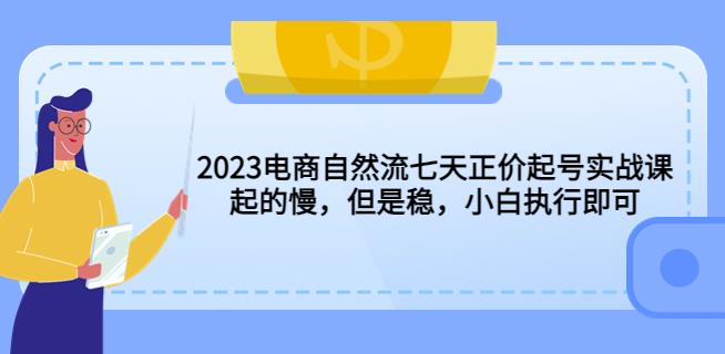 2023电商自然流七天正价起号实战课：起的慢，但是稳，小白执行即可！-成长印记