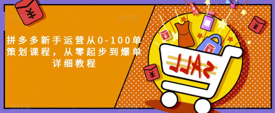 拼多多新手运营从0-100单策划课程，从零起步到爆单详细教程-成长印记