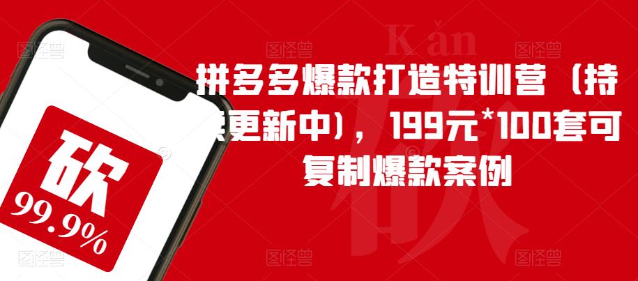 拼多多爆款打造特训营（持续更新中)，199元*100套可复制爆款案例-成长印记