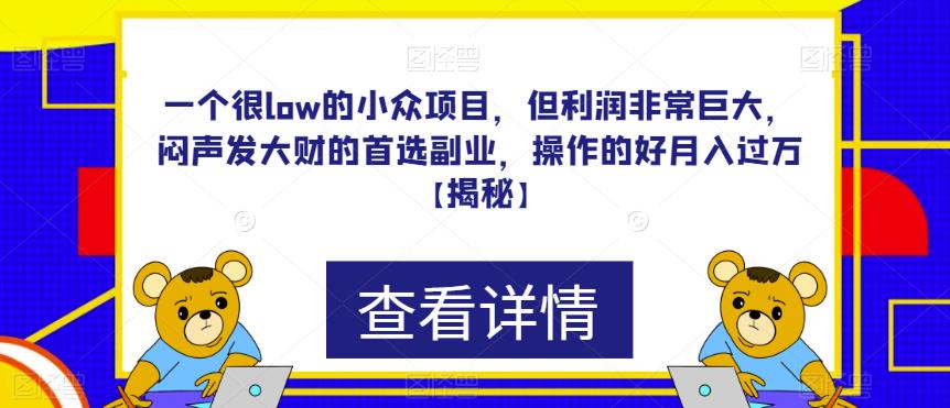 一个很low的小众项目，但利润非常巨大，闷声发大财的首选副业，操作的好月入过万【揭秘】-成长印记